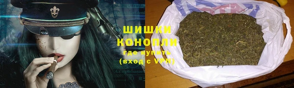стафф Верхний Тагил