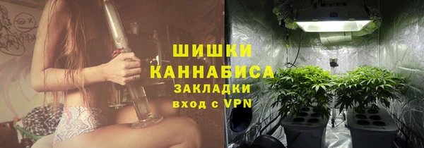 гидра Верея