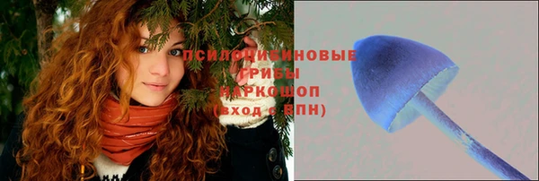 стафф Верхний Тагил