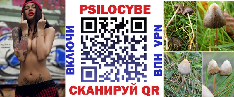 дарк нет какой сайт  Ковылкино  Галлюциногенные грибы прущие грибы 
